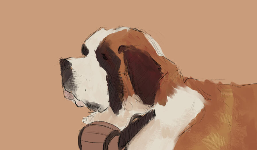 Studies